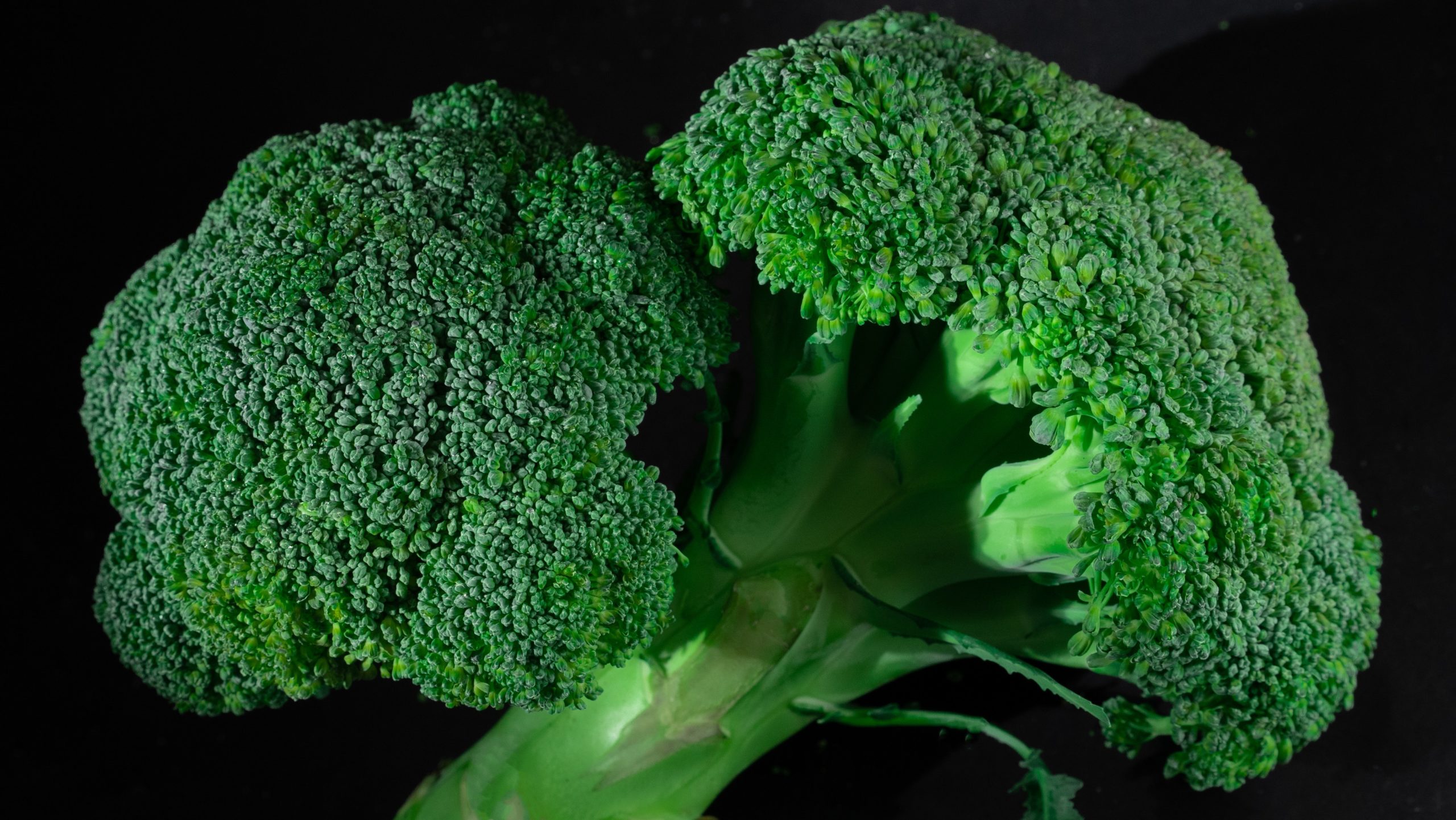 Brocoli 2